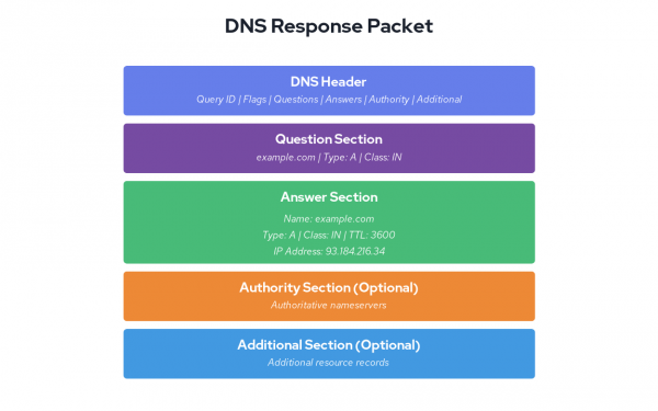 This graphic illustrates structure of a standard DNS response packet.