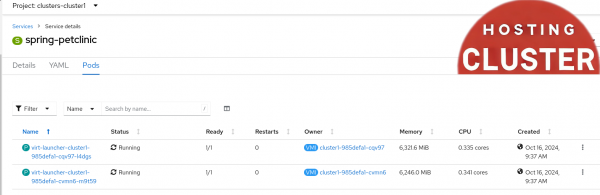 NodePort Service selected pods