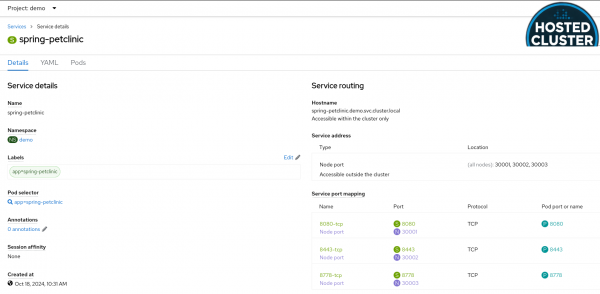 Node port service