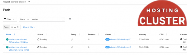 Hosting cluster Virtual Machines Pods