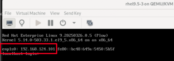 Use the VM console, find the IP address assigned to the VM.