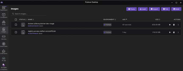Select the right arrow next to the dotnet-dev image to start the image.