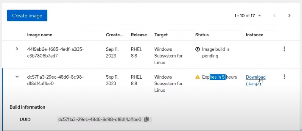 On the Insights Images dashboard, from the Instance column, click "Download (tar.gz)".