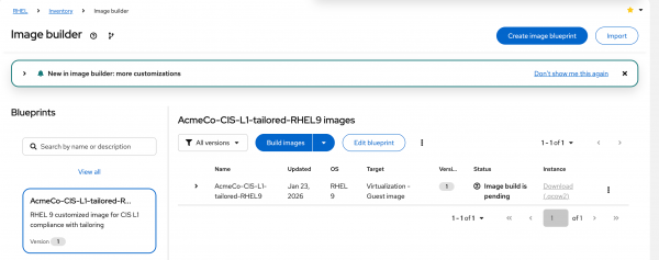 Generate the blueprint and build the image.