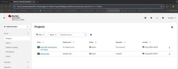 Directly view your OpenShift projects in the Developer Sandbox.