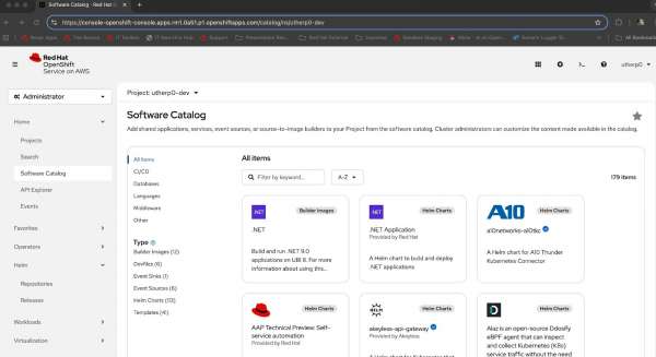 The Software Catalog provides access to the developer catalog.