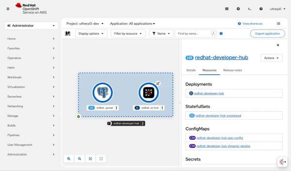 In the OpenShift Topology screen, you can see what pods are running in your project.