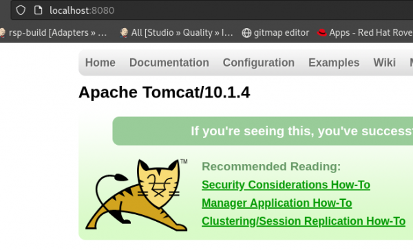 The Tomcat instance’s default URL in a browser.