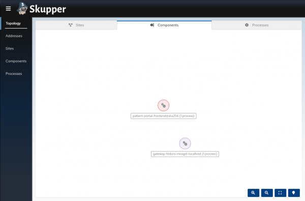 The patient portal front-end and gateway are visible in the Skupper Components tab.