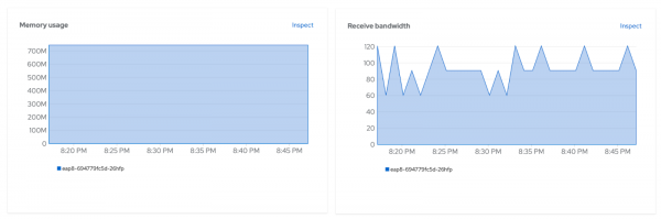 Graphs showing the memory and bandwidth usage of the deployed application