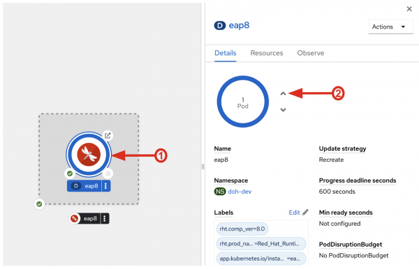 The Red Hat OpenShift scale application controls