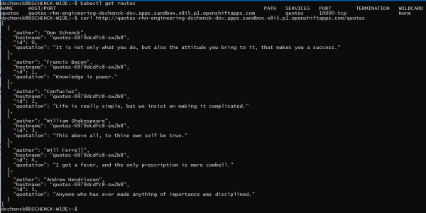 Use the curl command with the "/quotes" route URL to see the service.