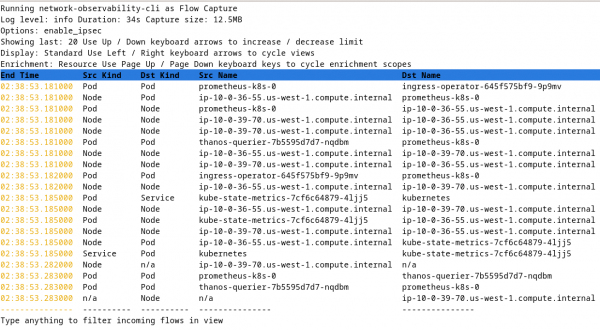 Figure 5: Network Observability CLI - Flows table with IPsec