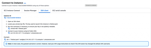 EC2 connection options in AWS console.