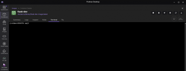 This Podman Desktop Container Details screen shows the Terminal tab.