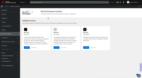 Listing all available red hat developer sandbox services of hybrid cloud portal