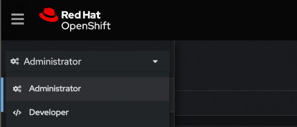 Red Hat OpenShift developer perspective