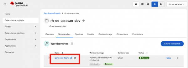 Project page displaying a red box around the development environment URL link.