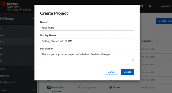 After you insert the Name, Display Name, and Description into the fields, this is the Create Project screen that appears