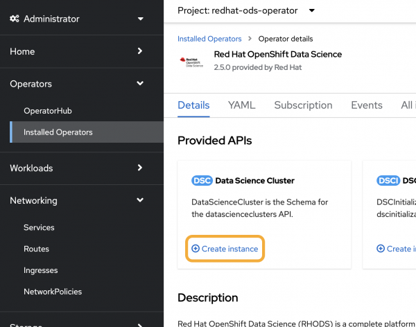 Create a new data science cluster instance.