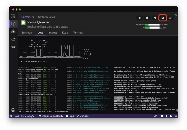 A screenshot of the Podman Desktop highlighting the open browser button.