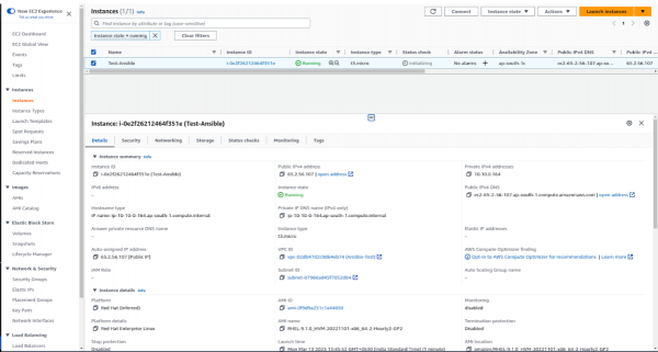 A screenshot of the EC2 instance in AWS.