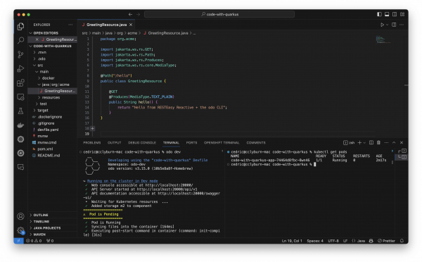 Developing on Kubernetes with odo.