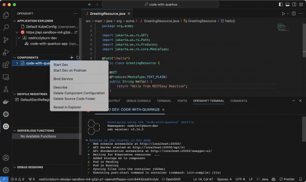 A screenshot of the development mode on an OpenShift cluster.