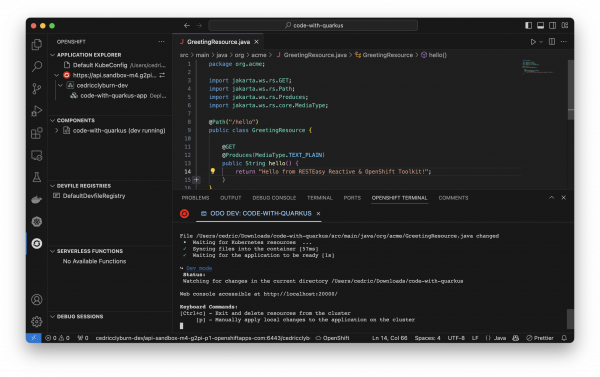 A view of the project changes syncing on the OpenShift cluster.