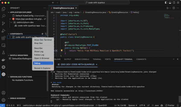 A screenshot of debugging the application within the OpenShift Toolkit.