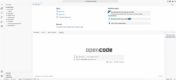 Figure 5 : OpenCode launched in terminal in cloud development environment
