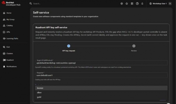 API key form with Target API workshop-restcountries-openapi, the Requester is user1, and drop-down menu with the bronze, silver, and gold tiers.
