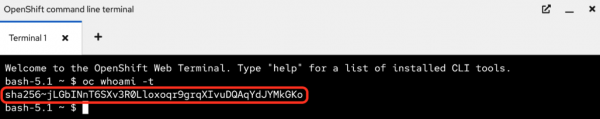 In the terminal, the LLM API output key is indicated by a red circle.