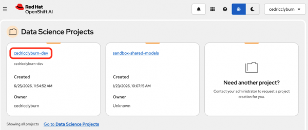 Here, the project is circled in red on the OpenShift AI dashboard.