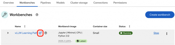 A red circle indicates the link to the development environment on the Workbenches tab.
