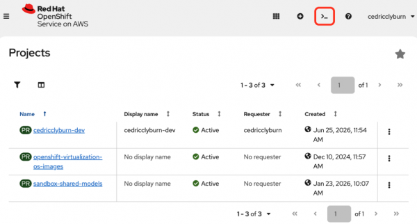 The Terminal icon is indicated here by a red circle, on the top-right of the OpenShift web console screen.