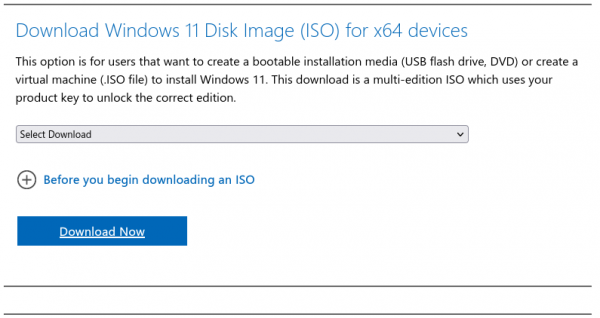 Download section of Microsoft Windows 11 Disk Image (ISO) menu, showing the "Download Now" button used to save the required ISO file locally.