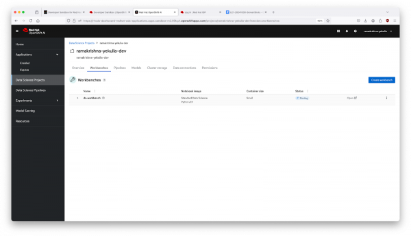 The review page displays both the workbench, cluster storage, Data Connections, and Model Servers.