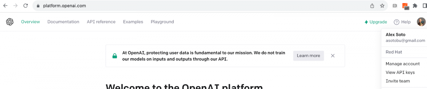 The View API keys option shown in the OpenAI API home page.