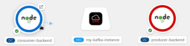 Screenshot of the icon for the application (consumer-backend).
