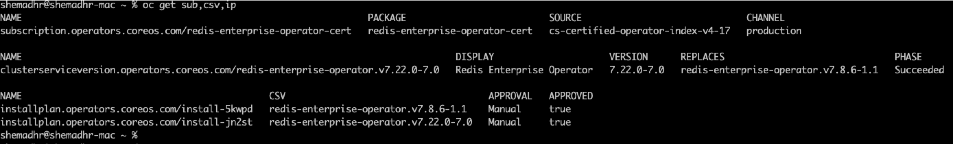 Console showing the results of the oc get command and displaying the successfully installed operators.