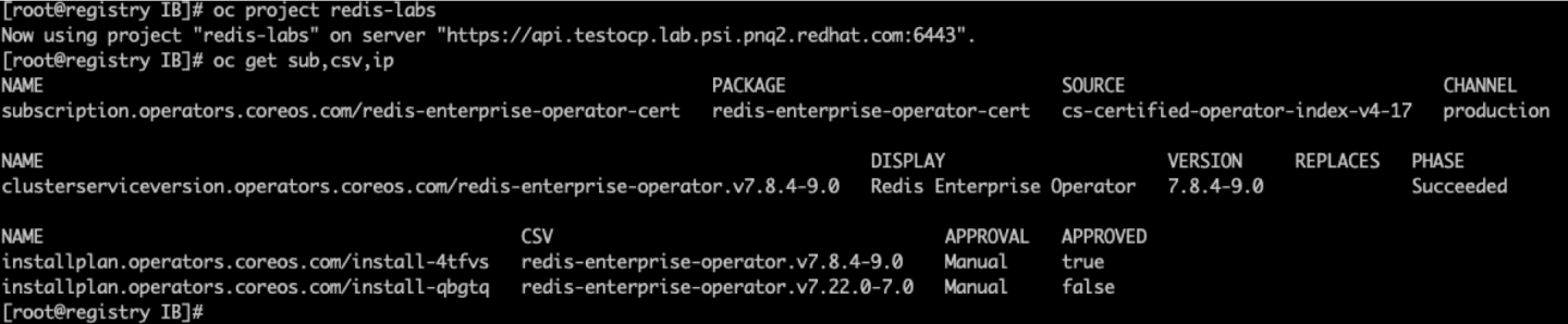Screenshot of console results from oc get command to backup existing resources.