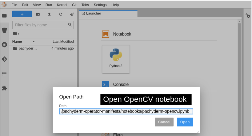 In the dialog box, paste in the path to the local notebook.