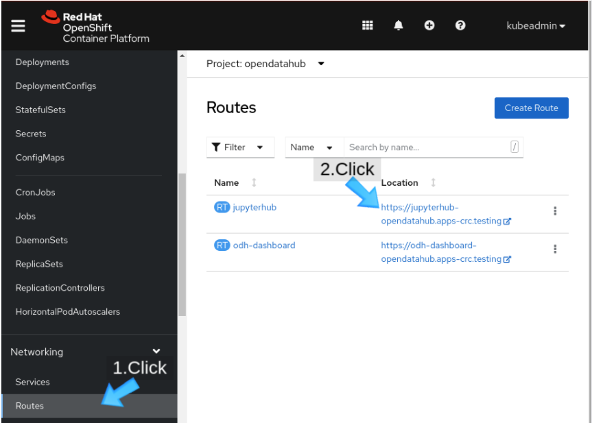 Choose Routes in the left-hand menu and then click the jupyterhub route.