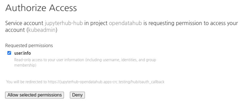 Press "Allow selected permissions" to giv e JupyterHub access to your information.
