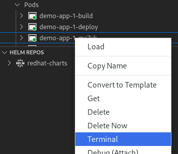 The Pods menu lets you select Terminal and open a terminal in a tab.