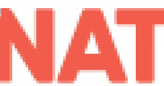 DevNation logo