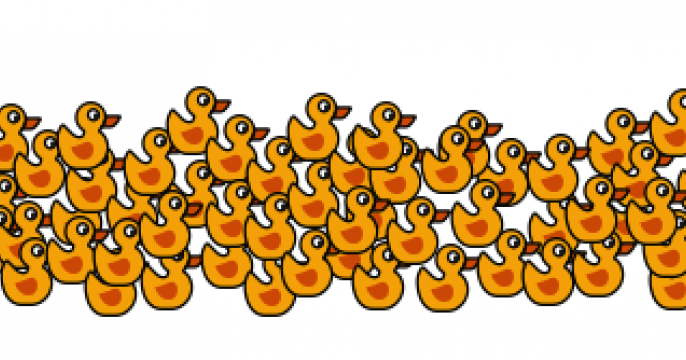 Ducklings image