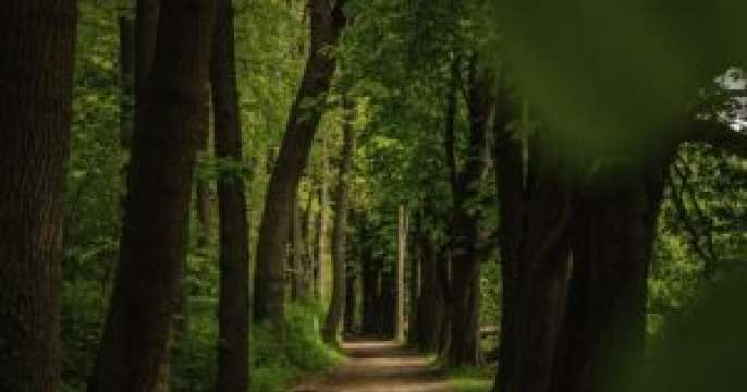 Walk down the Red Hat lane
