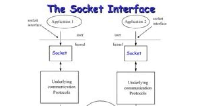 The socket interface